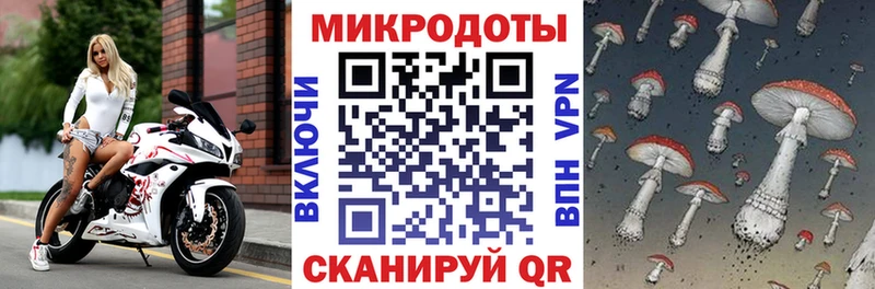 сколько стоит Баксан Псилоцибиновые грибы Psilocybe